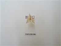 藏品(擬姬白望燈蛾)的圖片